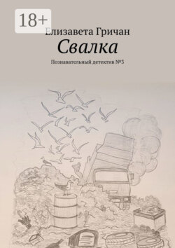 Свалка. Познавательный детектив №3