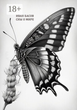 Сны о мире