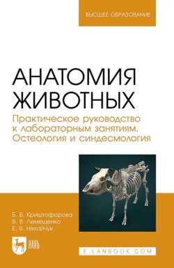 Анатомия животных. Практическое руководство к лабораторным занятиям. Остеология и синдесмология. Учебное пособие для вузов