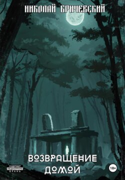 Возвращение домой