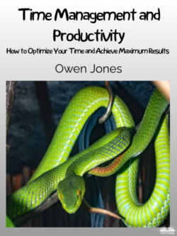 Time Management And Productivity