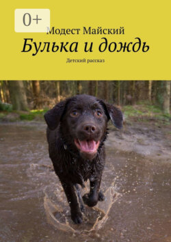 Булька и дождь. Детский рассказ