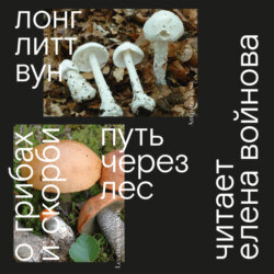 Путь через лес. О грибах и скорби