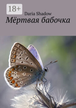 Мёртвая бабочка