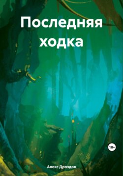 Последняя ходка