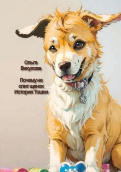 Почему не спит щенок. История Тошки