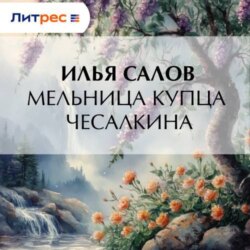 Мельница купца Чесалкина