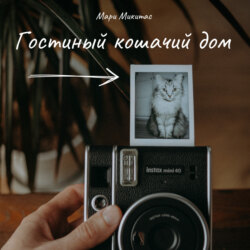 Гостиный кошачий дом