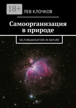 Самоорганизация в природе. Selforganisation in Nature