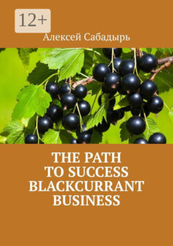 The path to success blackcurrant business