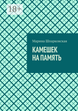 Камешек на память