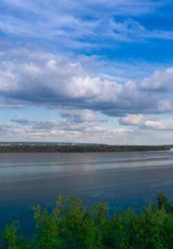 Круиз золотой рыбки