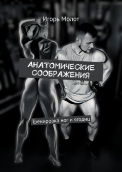 Анатомические соображения. Тренировка ног и ягодиц