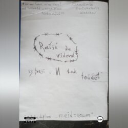 Рафик не виноват