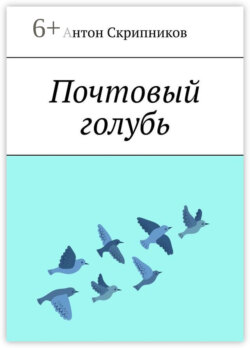 Городской голубь