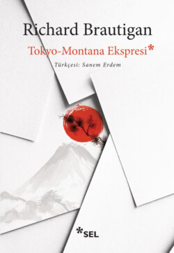 Tokyo-Montana Ekspresi