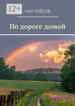 По дороге домой