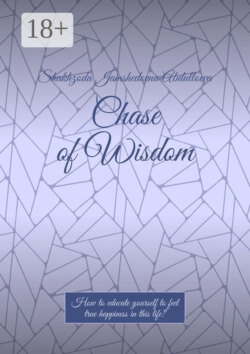 Chase of Wisdom. How to educate yourself to feel true happiness in this life?