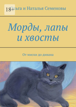 Морды, лапы и хвосты. От миски до дивана