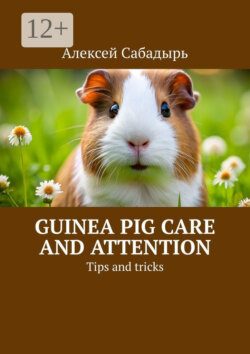 Guinea pig care and attention. Tips and tricks