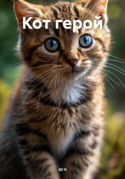 Кот герой