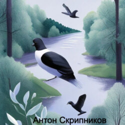 Городской голубь