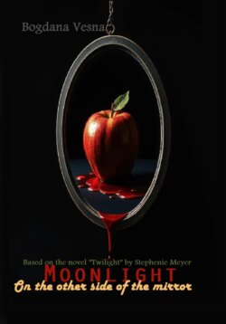 Moonlight. On the other side of the mirror