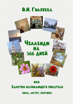 ЧЕЛЛЕНДЖ НА 366 ДНЕЙ, или Заметки начинающего писателя. Часть 3