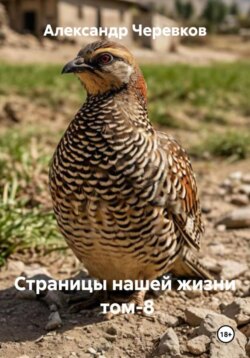 Страницы нашей жизни Том-8