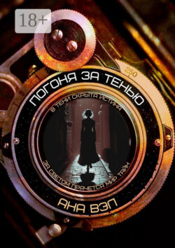 Погоня за тенью