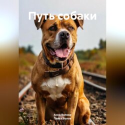 Путь собаки.