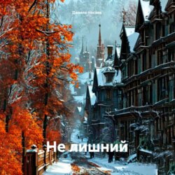 Не лишний