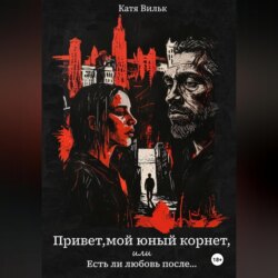 Привет, мой юный корнет, или Есть ли любовь после…