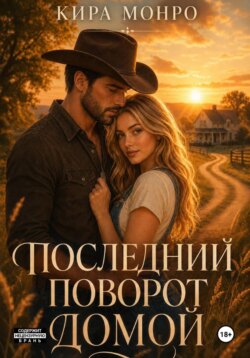 Последний поворот домой