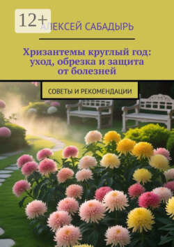 Хризантемы круглый год: уход, обрезка и защита от болезней. Советы и рекомендации