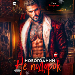 Бандит. Новогодний не подарок
