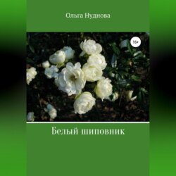 Белый шиповник