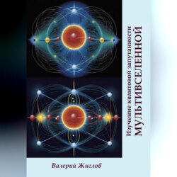 Изучение квантовой запутанности Мультивселенной