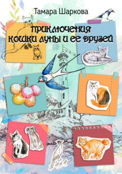 Приключение кошки ЛУны и ее друзей