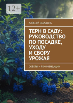 Терн в саду: руководство по посадке, уходу и сбору урожая. Советы и рекомендации