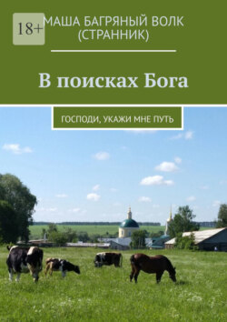 В поисках Бога. Господи, укажи мне путь
