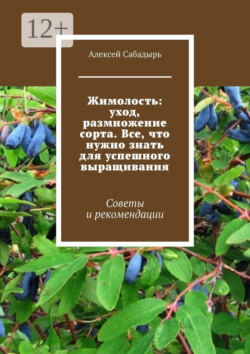 Жимолость: уход, размножение сорта. Все, что нужно знать для успешного выращивания. Советы и рекомендации