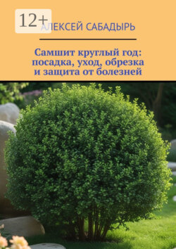 Самшит круглый год: посадка, уход, обрезка и защита от болезней