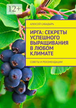 Ирга: Секреты успешного выращивания в любом климате. Советы и рекомендации