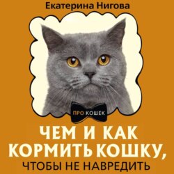 Чем и как кормить кошку, чтобы не навредить