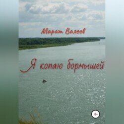 Я копаю бормышей