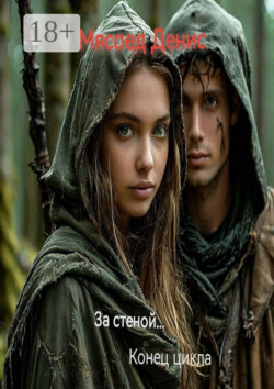 За стеной… Конец цикла