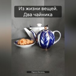 Из жизни вещей. Два чайника