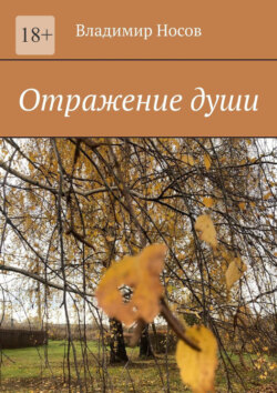 Отражение души