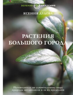 Растения большого города. Путеводитель по удивительному миру природы мегаполисов и за их пределами
